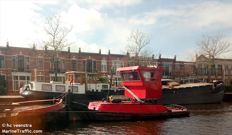 ursus (Cargo ship) - IMO , MMSI 244700286, Call Sign PH3790 under the flag of Netherlands