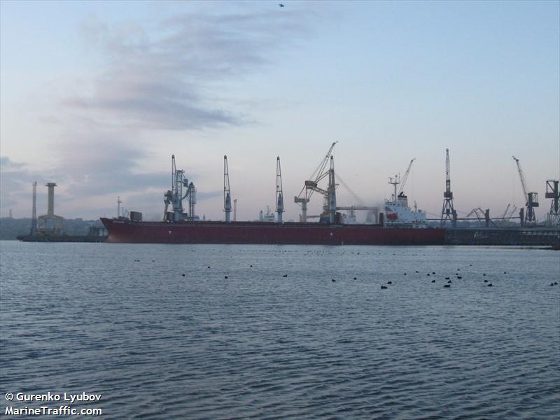 new island (Bulk Carrier) - IMO 9258349, MMSI 249860000, Call Sign 9HA4405 under the flag of Malta