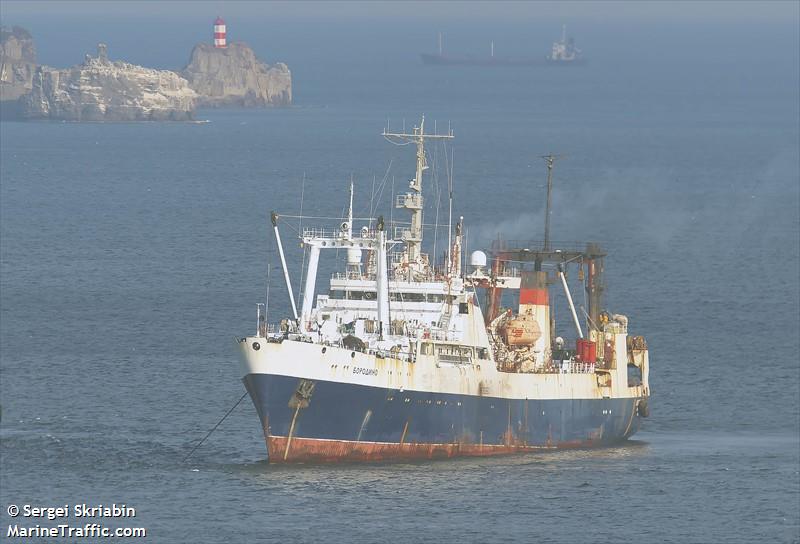 borodino (Fish Factory Ship) - IMO 8831649, MMSI 273457300, Call Sign UAGW under the flag of Russia