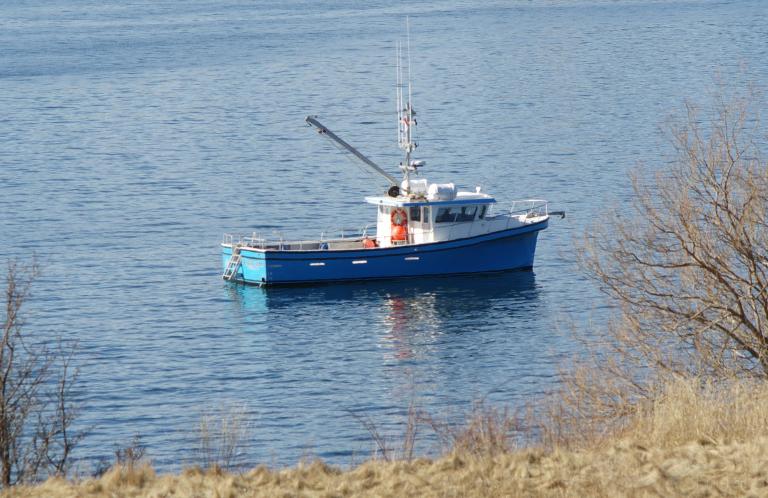 eastcom (Diving ops) - IMO , MMSI 316018275 under the flag of Canada