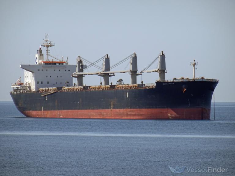 african cheetah (Bulk Carrier) - IMO 9636462, MMSI 351754000, Call Sign HOSL under the flag of Panama