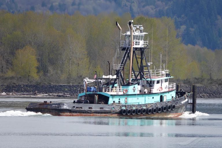 island viking (Pusher Tug) - IMO 7609843, MMSI 368637000, Call Sign WDG5991 under the flag of United States (USA)