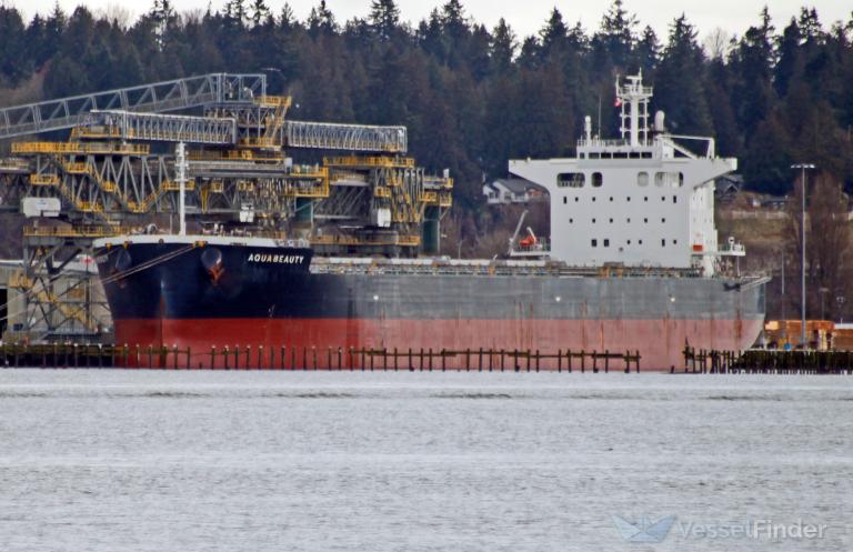 aquabeauty (Bulk Carrier) - IMO 9881378, MMSI 563107600, Call Sign 9V5186 under the flag of Singapore