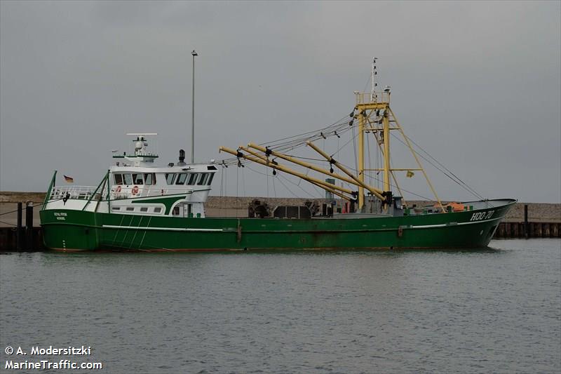 royal frysk (Fishing vessel) - IMO , MMSI 211101000, Call Sign DCZY under the flag of Germany