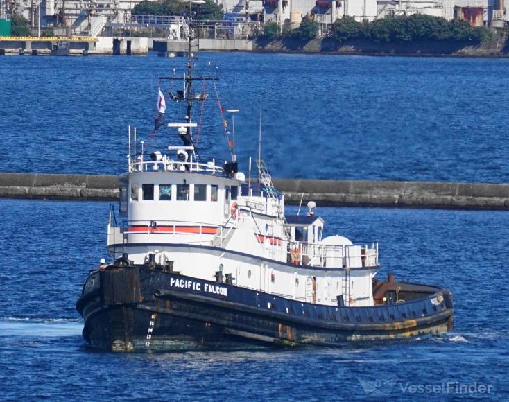pacific falcon (Tug) - IMO 7200128, MMSI 367349430, Call Sign WDE4151 under the flag of United States (USA)