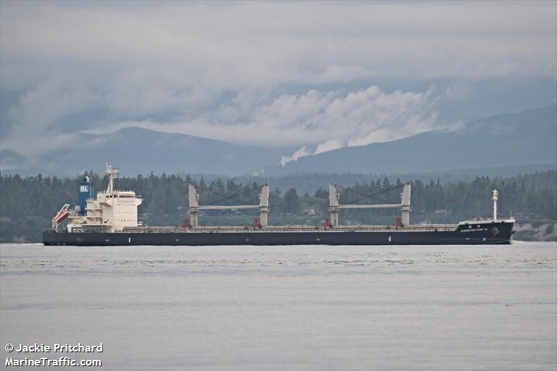 corefortune ol (Bulk Carrier) - IMO 9511014, MMSI 371701000, Call Sign 3EFG5 under the flag of Panama