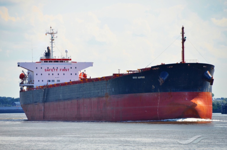 ns ningbo (Bulk Carrier) - IMO 9184914, MMSI 372064000, Call Sign 3ESM8 under the flag of Panama