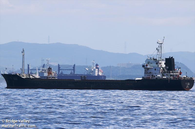s mermaid (General Cargo Ship) - IMO 9344887, MMSI 441366000, Call Sign DSPP5 under the flag of Korea