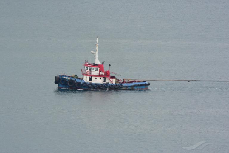 richardo (Towing vessel) - IMO , MMSI 477995704, Call Sign VRS5031 under the flag of Hong Kong