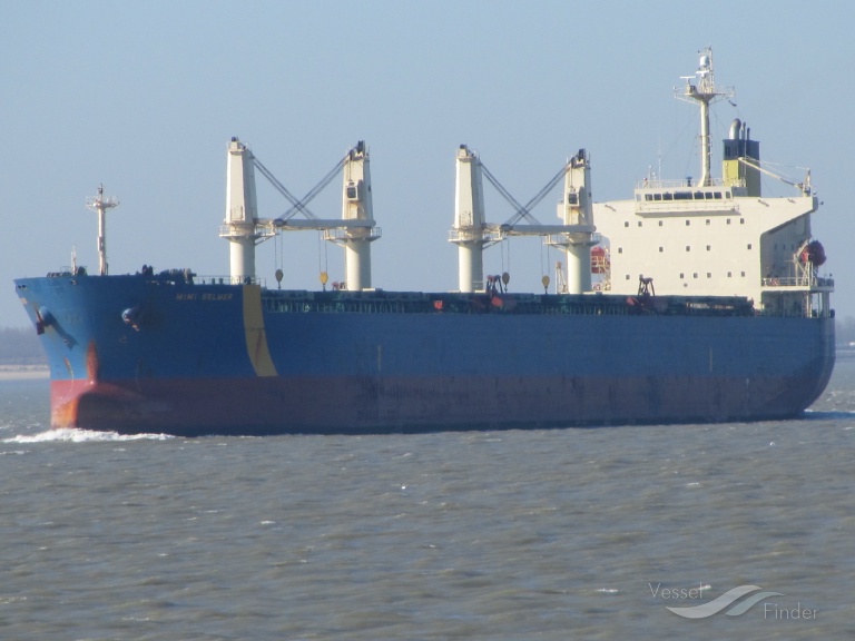 gunaleila (Bulk Carrier) - IMO 9324083, MMSI 525120014, Call Sign YDCF2 under the flag of Indonesia