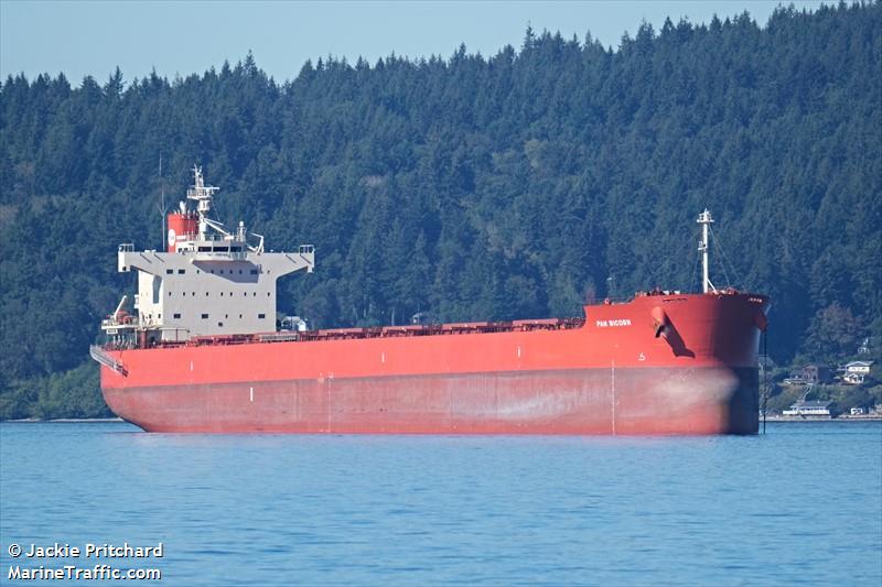 pan bicorn (Bulk Carrier) - IMO 9582441, MMSI 538007526, Call Sign V7TG8 under the flag of Marshall Islands