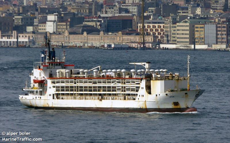 apus (Livestock Carrier) - IMO 7510858, MMSI 671706000, Call Sign 5VDX7 under the flag of Togolese Rep