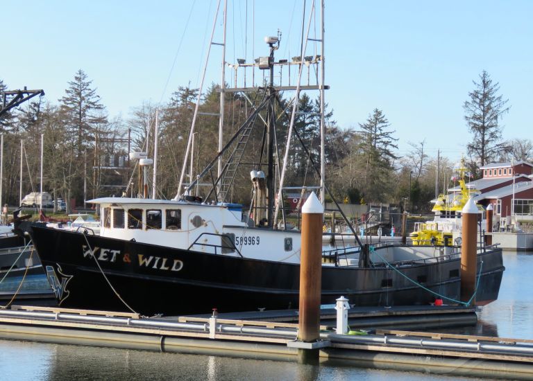 wet wild (Fishing vessel) - IMO , MMSI 367450890, Call Sign WDL5963 under the flag of United States (USA)