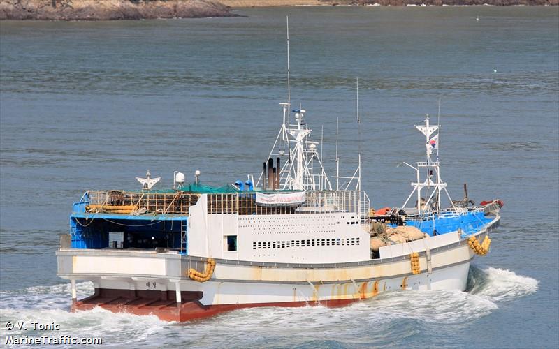 8088haijeong (Unknown) - IMO , MMSI 440157380, Call Sign 308 under the flag of Korea