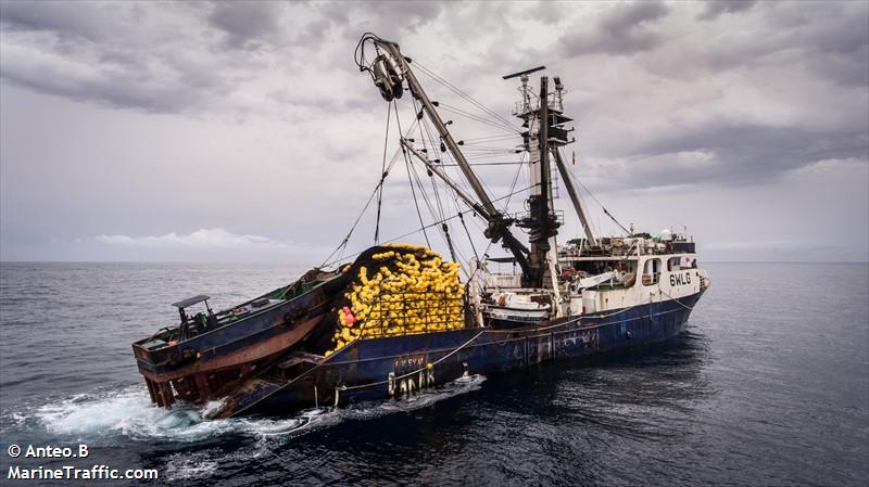 solevant (Fishing Vessel) - IMO 8104204, MMSI 663140000, Call Sign 6WLG under the flag of Senegal