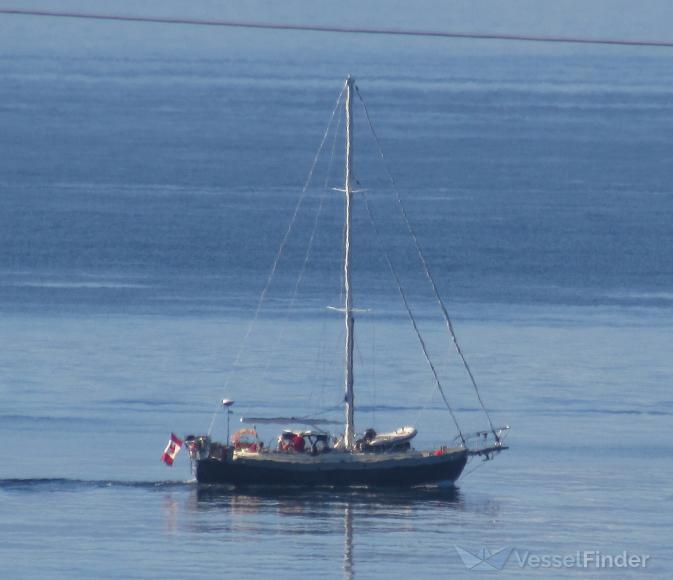 cygnus x (Sailing vessel) - IMO , MMSI 316032244 under the flag of Canada