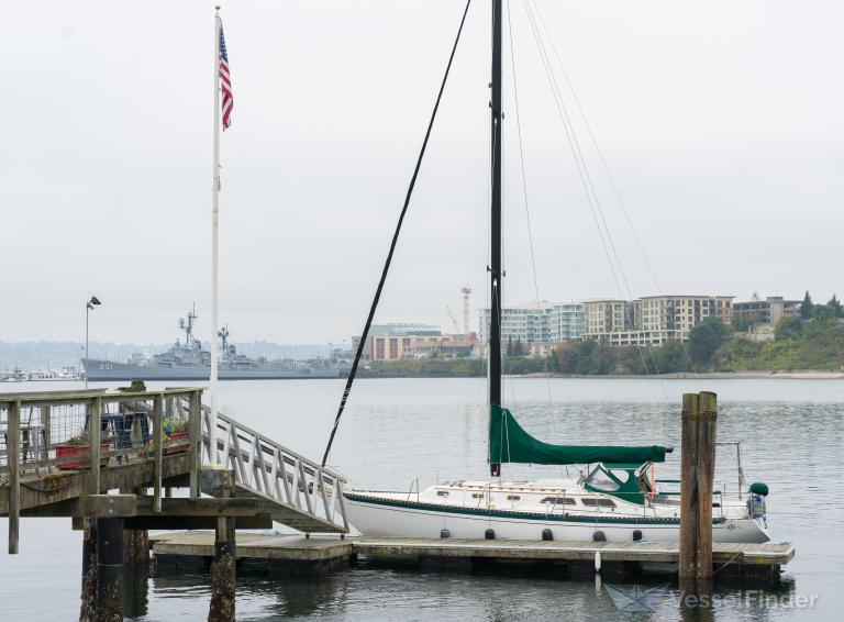 pura vida (Sailing vessel) - IMO , MMSI 338180209 under the flag of USA