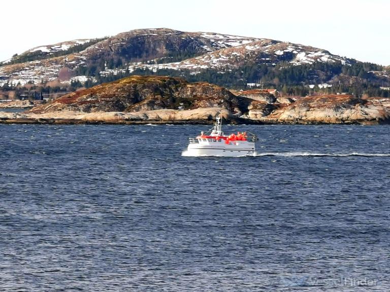 safir (Fishing vessel) - IMO , MMSI 257059810, Call Sign LH3095 under the flag of Norway
