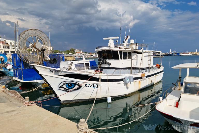 cat (Fishing vessel) - IMO , MMSI 209971000, Call Sign 5BGF5 under the flag of Cyprus