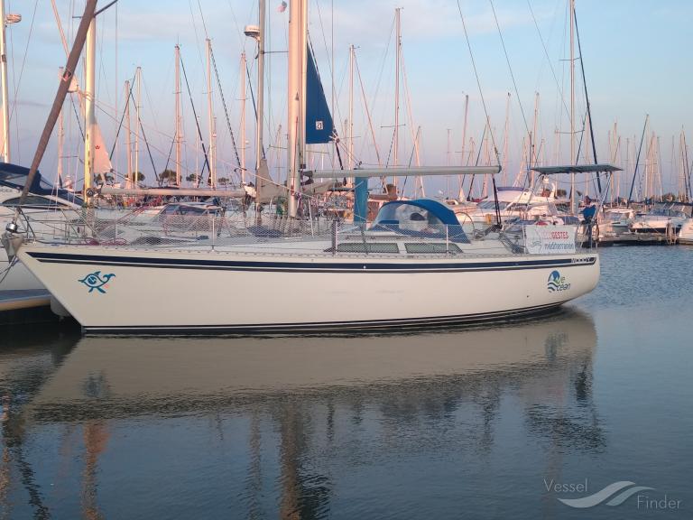 weocean (Pleasure craft) - IMO , MMSI 227857980, Call Sign FAF3438 under the flag of France