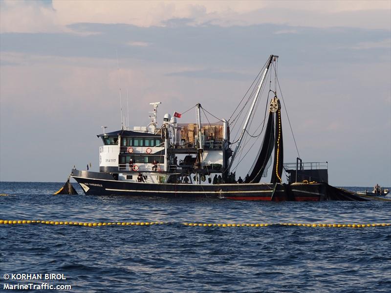 kavaloglu tevfik (Fishing Vessel) - IMO 8688054, MMSI 271072616, Call Sign TC7889 under the flag of Turkey