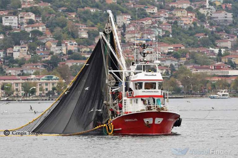zamkinozlar (Fishing vessel) - IMO , MMSI 271072756, Call Sign TC7914 under the flag of Turkey