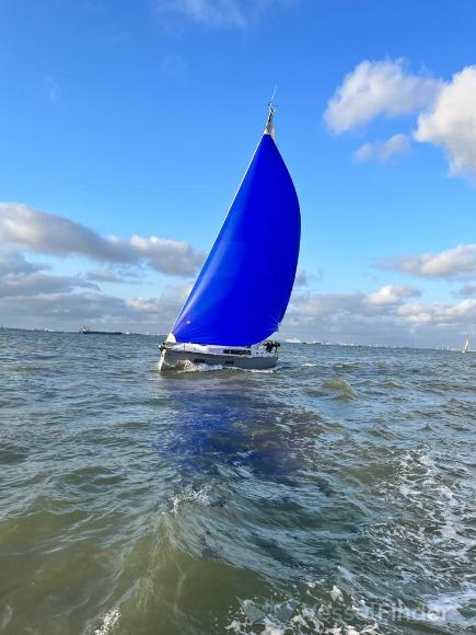 scheldespetter (Sailing vessel) - IMO , MMSI 244060013, Call Sign PC9563 under the flag of Netherlands
