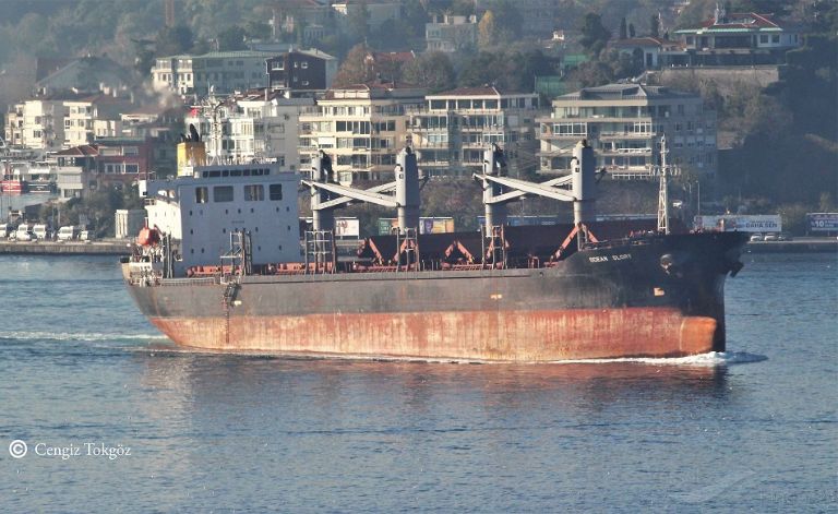 mv ocean glory (Bulk Carrier) - IMO 9278648, MMSI 210115000, Call Sign C4MC2 under the flag of Cyprus