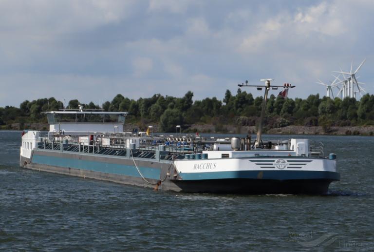 bacchus (Cargo ship) - IMO , MMSI 269057644, Call Sign HE7644 under the flag of Switzerland