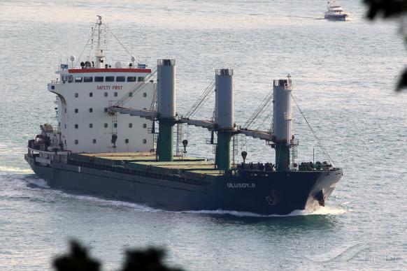 ulusoy-9 (Bulk Carrier) - IMO 9498884, MMSI 271002569, Call Sign TCTC7 under the flag of Turkey