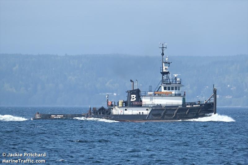 heidi l.brusco (Offshore Tug/Supply Ship) - IMO 8628195, MMSI 367098550, Call Sign WDC9175 under the flag of United States (USA)