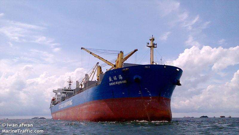 sheng wang hai (Bulk Carrier) - IMO 9416549, MMSI 413896000, Call Sign BRNJ under the flag of China