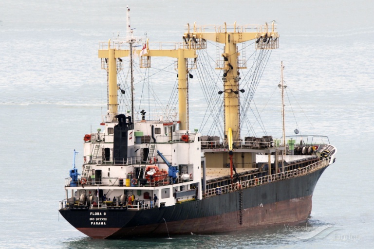 flora 8 (General Cargo Ship) - IMO 9277151, MMSI 525005283, Call Sign JZVV under the flag of Indonesia