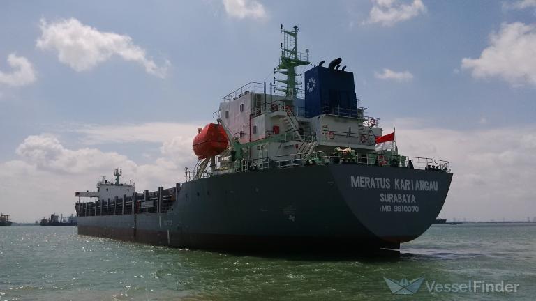 meratus kariangau (Container Ship) - IMO 9810070, MMSI 525125001, Call Sign YBQD2 under the flag of Indonesia