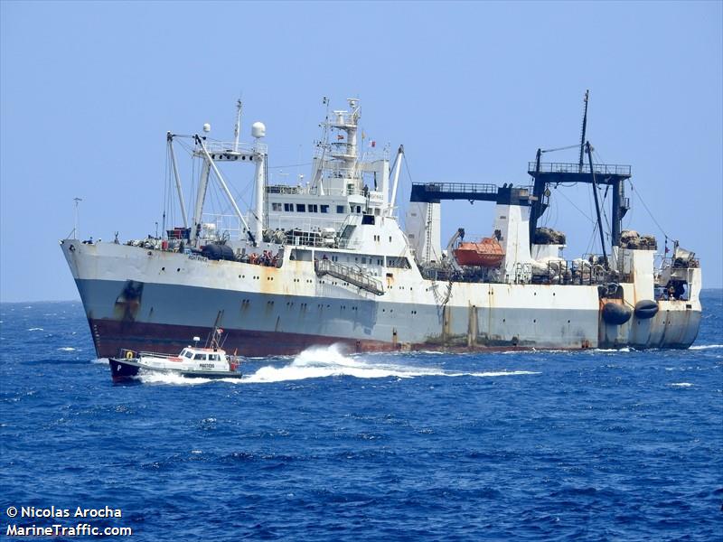 right whale (Fish Factory Ship) - IMO 8228543, MMSI 613003594, Call Sign TJMC50 under the flag of Cameroon