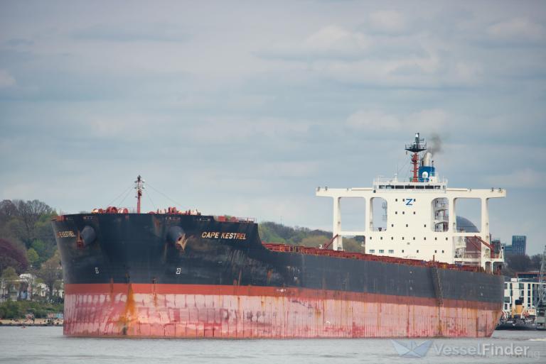 cape kestrel (Bulk Carrier) - IMO 9767510, MMSI 636019502, Call Sign D5MF7 under the flag of Liberia