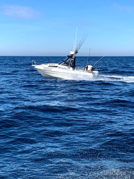 team blondie (Pleasure craft) - IMO , MMSI 219019415, Call Sign XPE6016 under the flag of Denmark