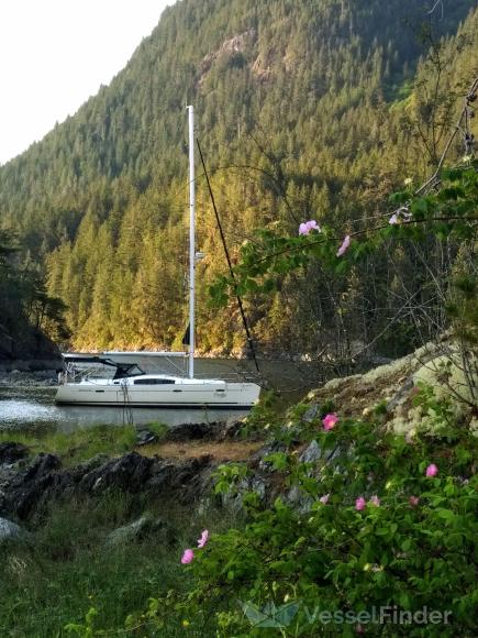 sv kerveza (Sailing vessel) - IMO , MMSI 316017751, Call Sign N/A under the flag of Canada