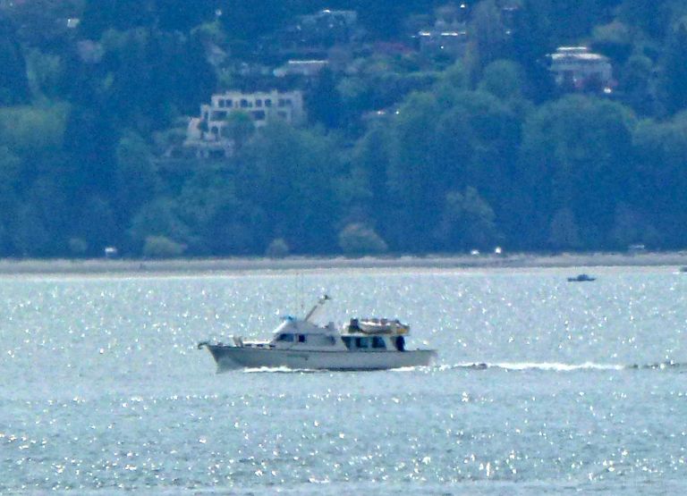 halo i (Pleasure craft) - IMO , MMSI 316019542, Call Sign CFN5591 under the flag of Canada