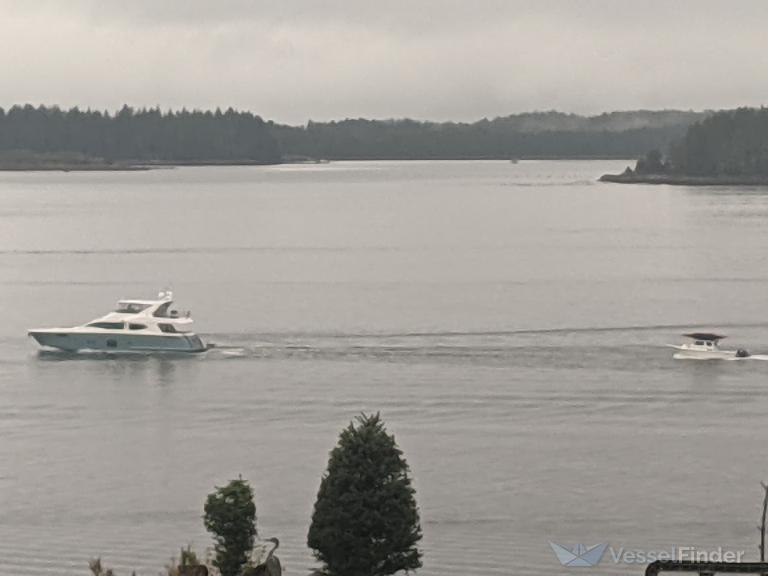 veloce (Pleasure craft) - IMO , MMSI 368177710, Call Sign WDL9291 under the flag of United States (USA)