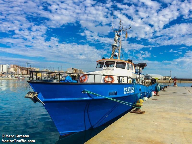 panther (Offshore Tug/Supply Ship) - IMO , MMSI 225982361, Call Sign EAEU under the flag of Spain