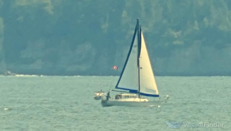 shalvah (Sailing vessel) - IMO , MMSI 316027338 under the flag of Canada