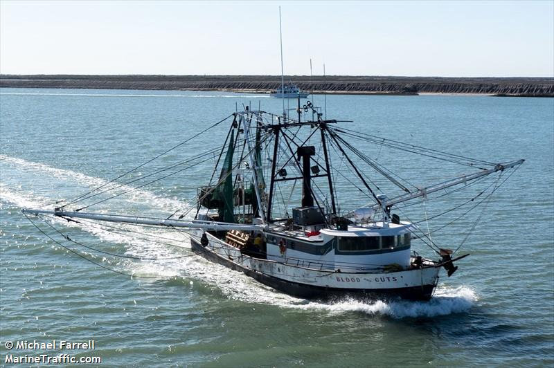 blood guts (Fishing vessel) - IMO , MMSI 367376020, Call Sign WDE6117 under the flag of United States (USA)