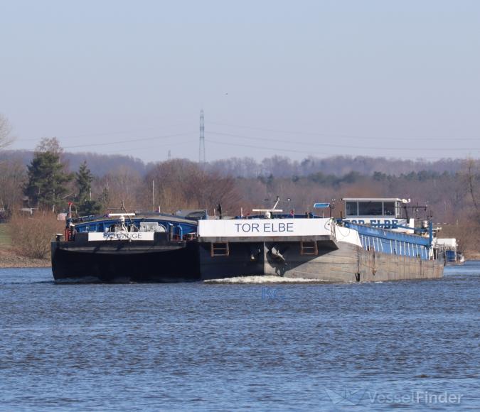 tor elbe (Cargo ship) - IMO , MMSI 211505920, Call Sign DA8701 under the flag of Germany