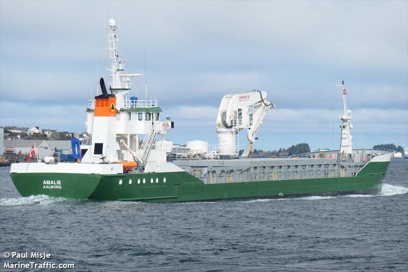 amalie (General Cargo Ship) - IMO 9163702, MMSI 219016713, Call Sign OUWQ2 under the flag of Denmark