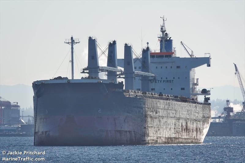 trans oceanic (Bulk Carrier) - IMO 9500699, MMSI 373489000, Call Sign 3FOD2 under the flag of Panama