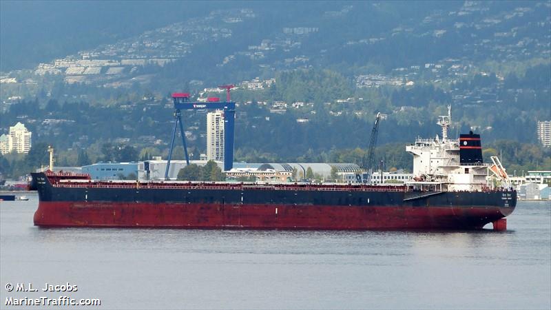 vishva vinay (Bulk Carrier) - IMO 9533488, MMSI 419000311, Call Sign AVLX under the flag of India