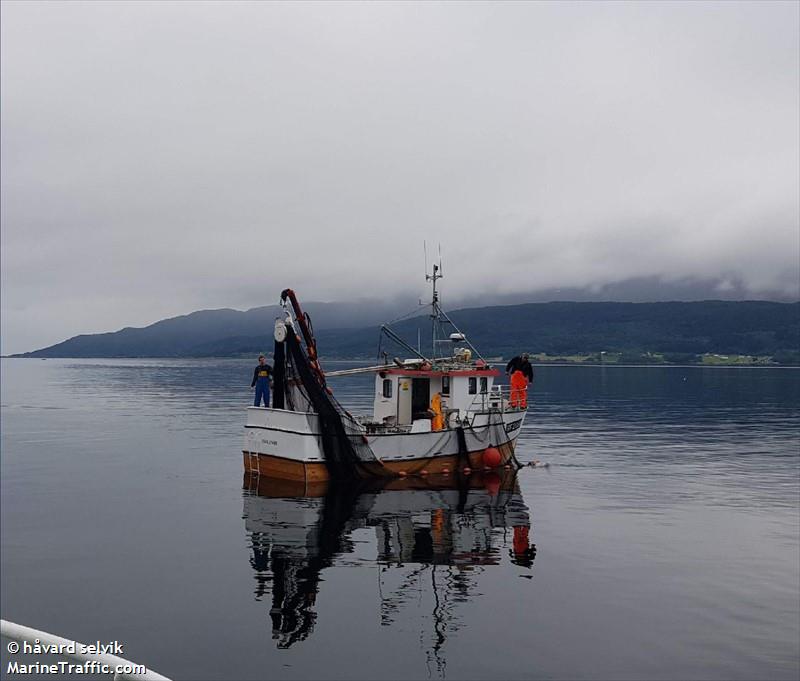 selvik junior (Fishing vessel) - IMO , MMSI 257042720, Call Sign LK9488 under the flag of Norway