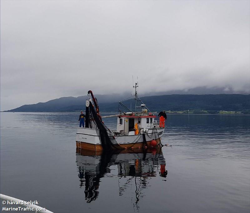 selvik junior (-) - IMO , MMSI 257042720, Call Sign LK9488 under the flag of Norway