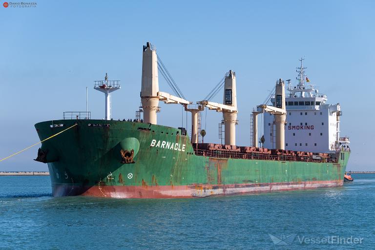 barnacle (Bulk Carrier) - IMO 9409742, MMSI 212093000, Call Sign 5BNK2 under the flag of Cyprus